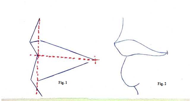 Disegnare una bocca di profilo
